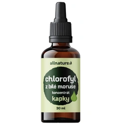 Allnature Chlorofyl z Moruše bílé - kapky 30 ml