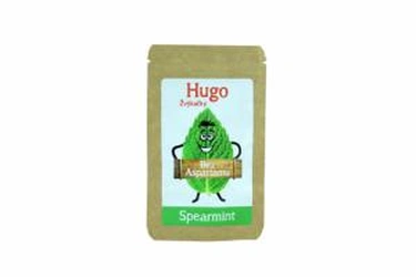 Žvýkačky Hugo Spearmint 6 ks