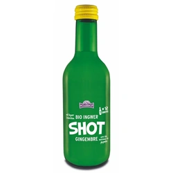 Holderhof Shot zázvorový 250 ml BIO